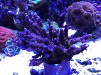 IMG_2291.jpg