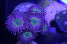 6176655488_IMG_0837.jpg