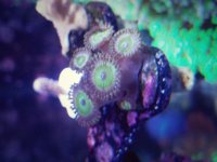 20171130_074107.jpg