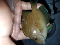 20160818_190448.jpg