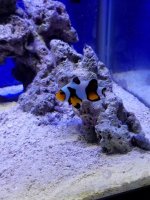 20170222_192752.jpg