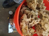 20161023_175158.jpg