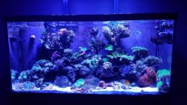 Optimized-20170403_214044.jpg
