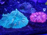 20170902_190327.jpg