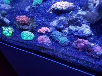 20170902_190302.jpg