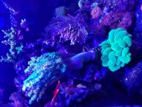 20170404_135008.jpg