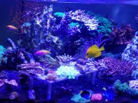 20170902_194308.jpg
