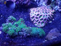 20170902_190316.jpg