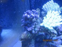 IMG_2059.jpg