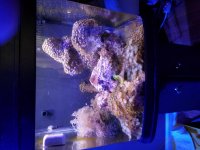 20160814_155622.jpg
