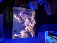 20160814_155625.jpg