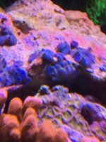 IMG_2966.jpg