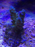 IMG_3510.jpg