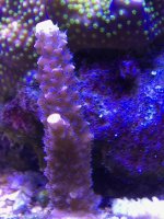 IMG_3511.jpg