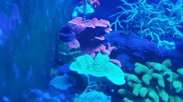 20161025_140121.jpg