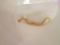 20170903_090319.jpg