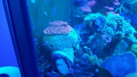 20161025_140148.jpg