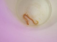 20170903_090307.jpg