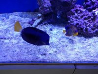 IMG_20160705_102045.jpg