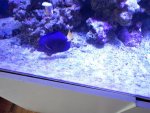 IMG_20160705_102145.jpg
