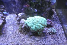 DSC_0905.jpg