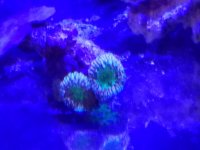 20160820_092004.jpg