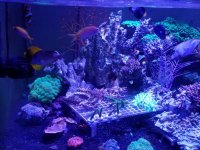 20170903_113704.jpg