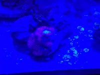 20160820_091953.jpg