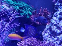 20170903_113604(0).jpg