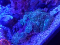 20170210_162134.jpg