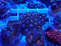 20170210_162152.jpg