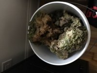 image7.jpeg