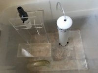 image9.jpeg