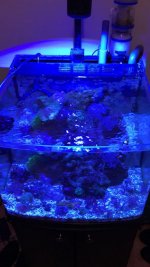 IMG_4782.jpg