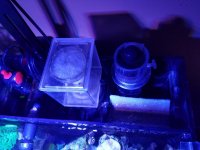 20170209_150146.jpg