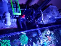 20170209_150139.jpg