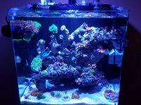 20170209_164854.jpg
