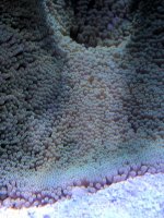 IMG_20170904_133948.jpg