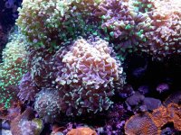 20171203_094738.jpg