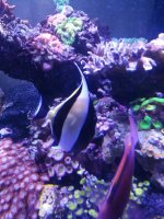 IMG_20180221_222504.jpg