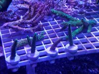 20170903_113151.jpg