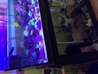 tankpic.jpg