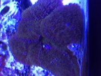 IMG_0424.jpg