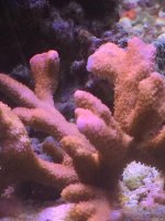 IMG_3182.jpg