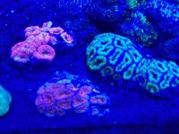 20170903_104444.jpg