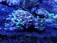 20170902_190311.jpg