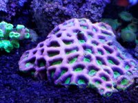 20170902_150407.jpg