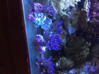 IMG_1723.jpg