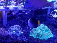 20170903_113558.jpg