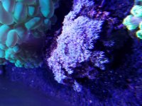 20170902_150358.jpg